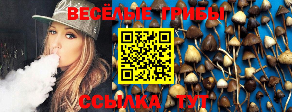 Псилоцибиновые грибы прущие грибы Всеволожск